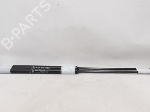 Tailgate lift support FIAT CROMA (194_) 1.9 D Multijet | BP27946523C138 