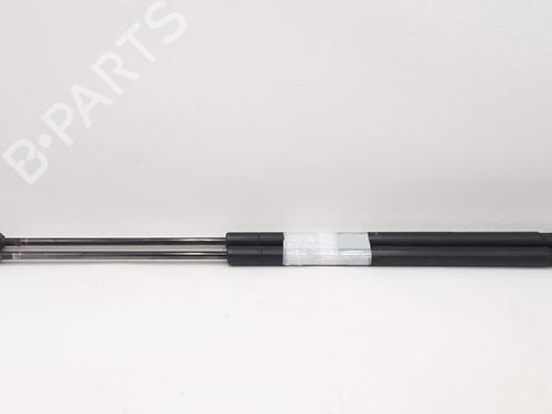 Tailgate lift support FORD FUSION (JU_) 1.4 TDCi | BP27947368C138 