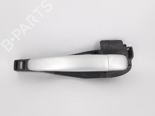 Rear left exterior door handle CITROËN C3 I (FC_, FN_) 1.4 i | BP27965148C130 