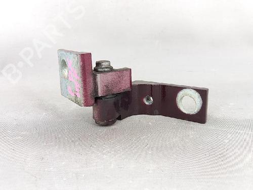 Hinge/Door check strap LANCIA DELTA III (844_) 1.4 (844.AXA1A) | BP27953540C146 