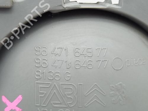 Rear left interior door handle CITROËN C3 I (FC_, FN_) 1.1 i | BP27962436I15 