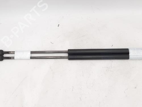 Hood lift support MINI MINI (R50, R53) One D | BP27944977C139 