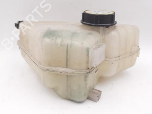 Used Expansion tank FORD FIESTA VI (CB1, CCN) 1.25 (82 hp) 27946562