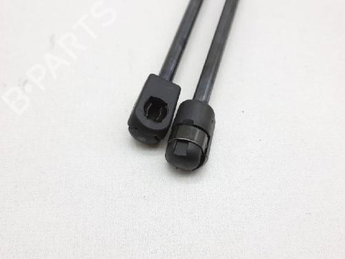 Tailgate lift support RENAULT ESPACE III (JE0_) 2.2 12V TD (JE0E, JE0H, JE0P) | BP27947830C138
