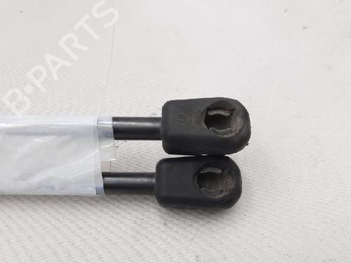 Tailgate lift support FIAT CROMA (194_) 1.9 D Multijet | BP27946523C138 