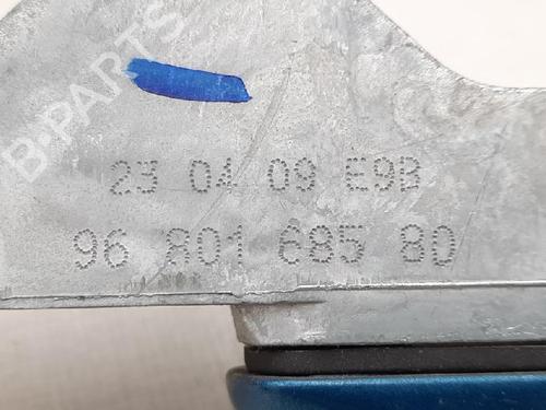 Front right exterior door handle PEUGEOT 207 (WA_, WC_) 1.4 HDi | BP27939780C129 