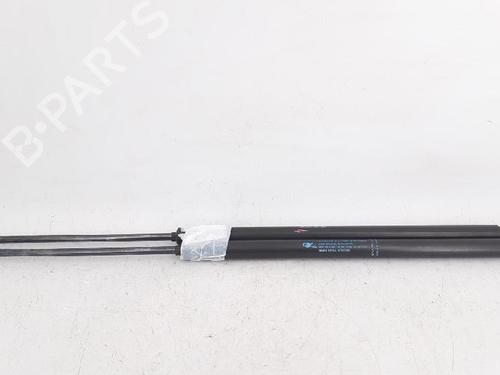 Tailgate lift support CITROËN C4 Grand Picasso I (UA_) 2.0 HDi 138 | BP27949162C138