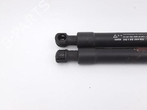 Hood lift support CHEVROLET EPICA (KL1_) 2.5 | BP27945996C139