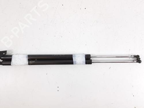 Tailgate lift support KIA CARNIVAL I (UP) 2.9 TDi | BP27947842C138 