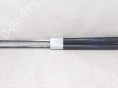 Tailgate lift support DODGE JOURNEY 2.0 CRD | BP27951911C138 