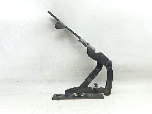 Hinge/Door check strap BMW X5 (E53) 3.0 d | BP27956935C146 
