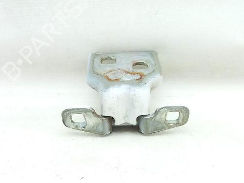 Hinge/Door check strap DACIA SANDERO 1.4 MPI LPG | BP27954825C146 
