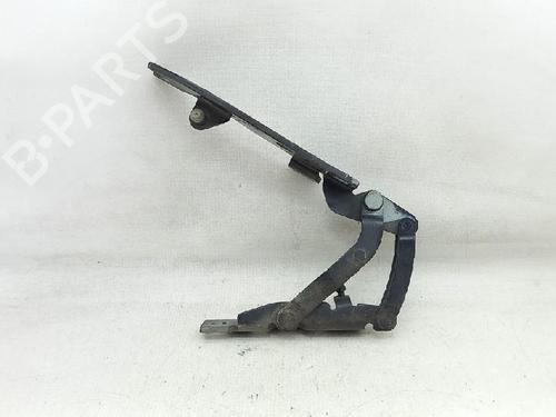 Hinge/Door check strap BMW X5 (E53) 3.0 d | BP27956934C146 