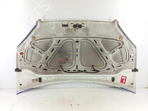 Hood FIAT DOBLO Box Body/MPV (223_) 1.4 | BP27953487C1 