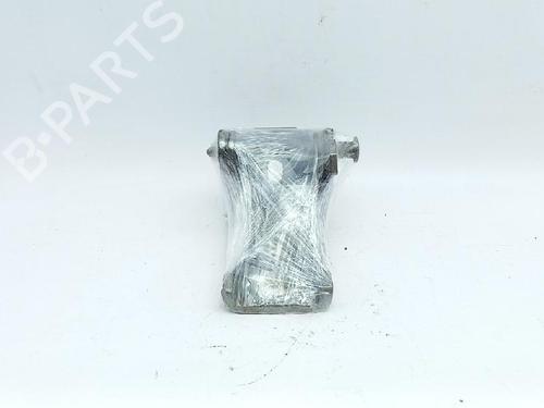 Hinge/Door check strap CITROËN C3 I (FC_, FN_) 1.1 i | BP27962407C146 