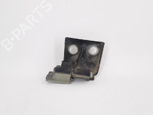 Hinge/Door check strap LANCIA MUSA (350_) 1.3 D Multijet (350.AXG11, 350.AXG1A) | BP27964294C146 