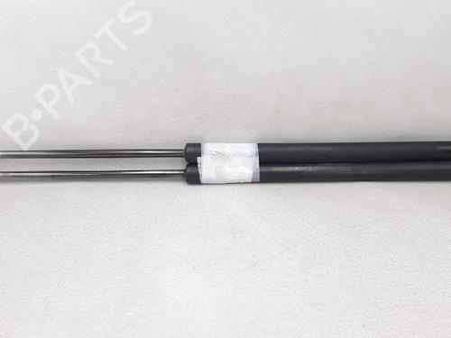 Tailgate lift support MERCEDES-BENZ A-CLASS (W169) A 160 CDI (169.006, 169.306) | BP27952560C138 