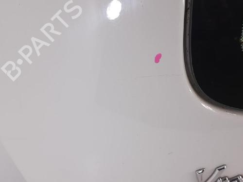 Tailgate LANCIA YPSILON (843_) 1.3 D Multijet (843.AXF11, 843.AXF1A, 843.AXM11,... | BP27952112C6