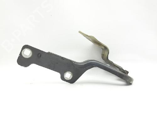 Hinge/Door check strap RENAULT CLIO III (BR0/1, CR0/1) 1.5 dCi (C/BR0G, C/BR1G) | BP27966798C146 