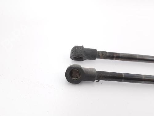Tailgate lift support SEAT IBIZA IV (6J5, 6P1) 1.4 TDI | BP27967646C138 
