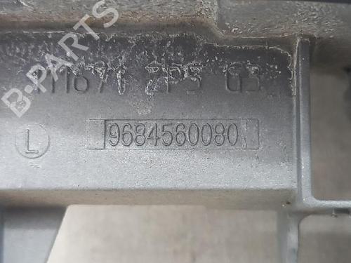 Venstre bak utvendig håndtak CITROËN C3 II (SC_) 1.4 LPG | BP27958713C130 
