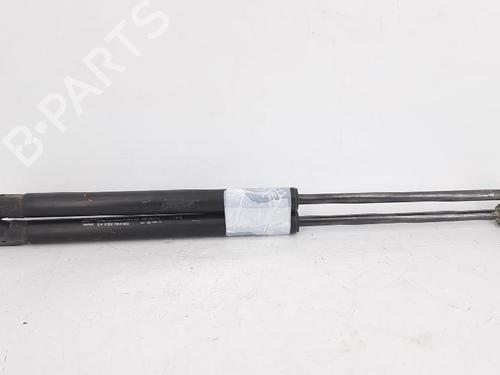 Tailgate lift support CHEVROLET AVEO / KALOS Hatchback (T200) 1.2 | BP27947344C138 