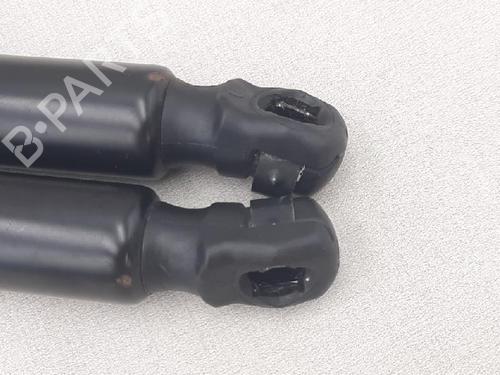 Tailgate lift support DODGE JOURNEY 2.0 CRD | BP27951911C138 