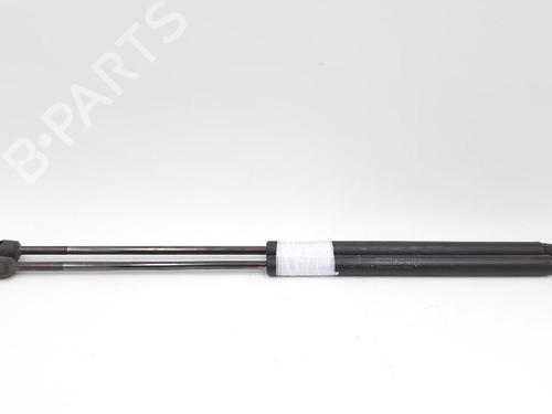 Tailgate lift support FIAT BRAVO II (198_) 1.4 (198AXA1B) | BP27943290C138 