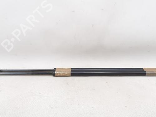 Tailgate lift support FORD FIESTA V (JH_, JD_) 1.25 16V | BP27948002C138 