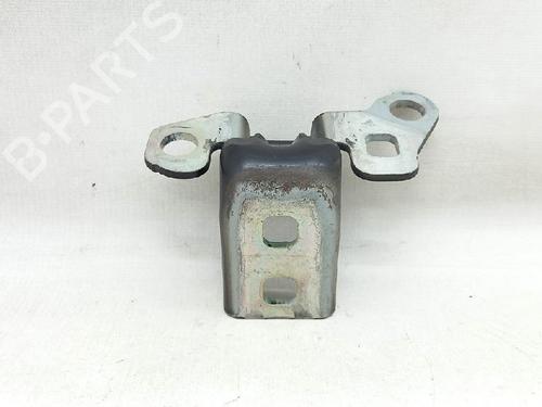 Hinge/Door check strap RENAULT CLIO III Grandtour (KR0/1_) 1.5 dCi (KR0G) | BP27955779C146 
