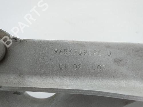 Hinge/Door check strap PEUGEOT 308 I (4A_, 4C_) 1.6 HDi | BP27942335C146 