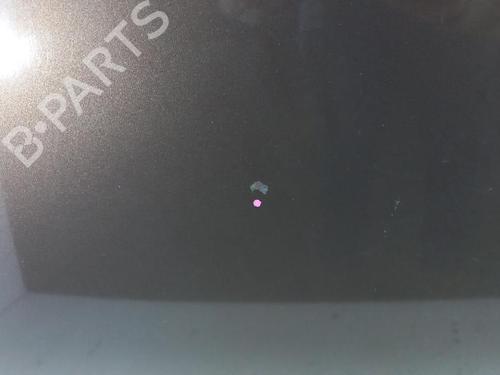 Hood RENAULT SCÉNIC III (JZ0/1_) 1.5 dCi | BP27960145C1 
