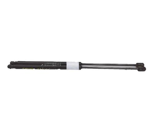 Used Tailgate lift support FIAT BRAVO II (198_) 1.9 D Multijet (198AXB1A) (120 hp) 27943287