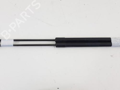 Tailgate lift support FORD FIESTA VI (CB1, CCN) 1.25 | BP27944770C138 