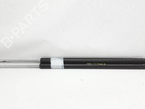 Tailgate lift support RENAULT ESPACE IV (JK0/1_) 2.0 (JK0A, JK1D, JK0N) | BP27946015C138 