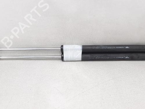 Tailgate lift support RENAULT CLIO III (BR0/1, CR0/1) 1.2 16V (BR02, BR0J, BR11, CR02, CR0J, CR11) | BP27952564C138 