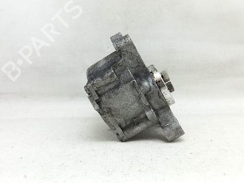 Vacuum pump FORD S-MAX (WA6) 2.0 TDCi | BP27939179M80 