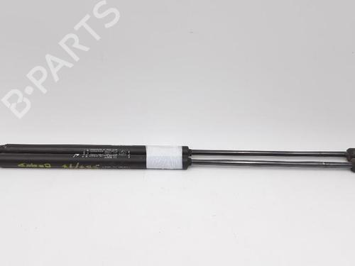 Tailgate lift support FIAT BRAVO II (198_) 1.9 D Multijet (198AXB1A) | BP27943287C138 