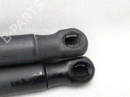 Tailgate lift support MERCEDES-BENZ A-CLASS (W169) A 160 CDI (169.006, 169.306) | BP27952560C138 