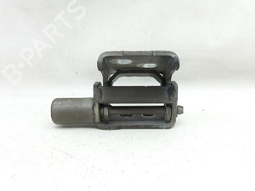 Hinge/Door check strap RENAULT CLIO III Grandtour (KR0/1_) 1.5 dCi (KR0G) | BP27955780C146 