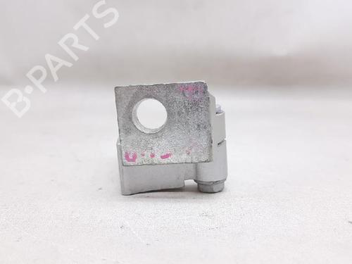Hinge/Door check strap ALFA ROMEO 159 (939_) 1.8 MPI (939AXL1A) | BP27954513C146 