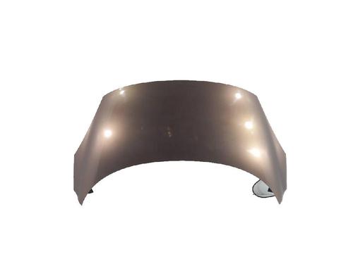 Used Hood RENAULT SCÉNIC III (JZ0/1_) 1.5 dCi (110 hp) 27960145