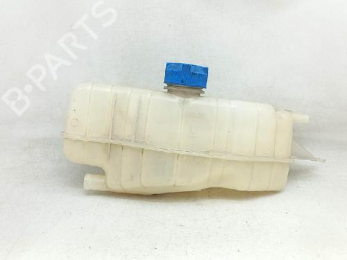 Expansion tank RENAULT CLIO III (BR0/1, CR0/1) 1.2 16V (BR02, BR0J, BR11, CR02, CR0J, CR11) | BP27934843C120 