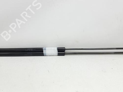 Tailgate lift support FIAT CROMA (194_) 1.9 D Multijet | BP27947929C138 