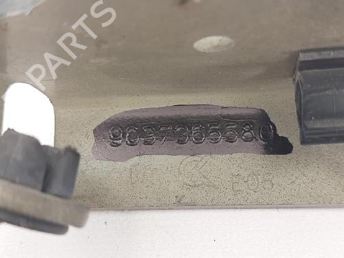 Hinge/Door check strap CITROËN C3 I (FC_, FN_) 1.1 i | BP27954968C146 