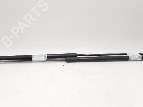 Tailgate lift support OPEL CORSA D (S07) 1.3 CDTI (L08, L68) | BP27943030C138 