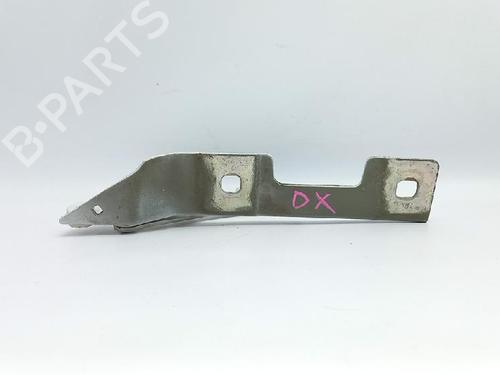 Hinge/Door check strap OPEL ASTRA J (P10) 1.4 (68) | BP27960704C146