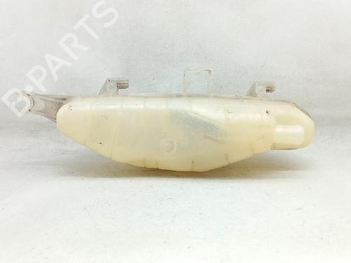 Expansion tank RENAULT CLIO III (BR0/1, CR0/1) 1.2 16V (BR02, BR0J, BR11, CR02, CR0J, CR11) | BP27934843C120 