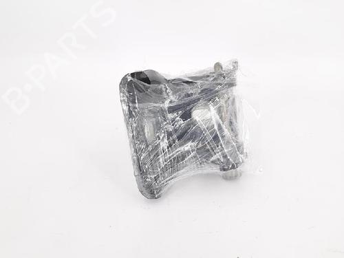 Hinge/Door check strap CITROËN C3 I (FC_, FN_) 1.1 i | BP27966055C146 