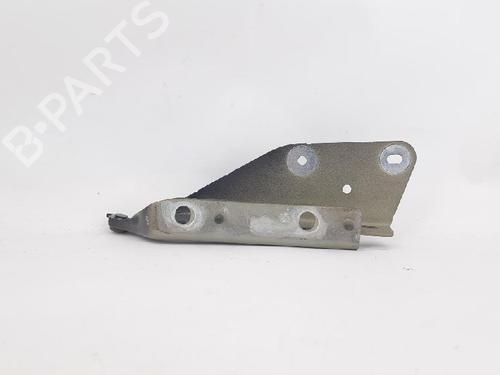 Hinge/Door check strap CITROËN C3 I (FC_, FN_) 1.1 i | BP27954967C146 